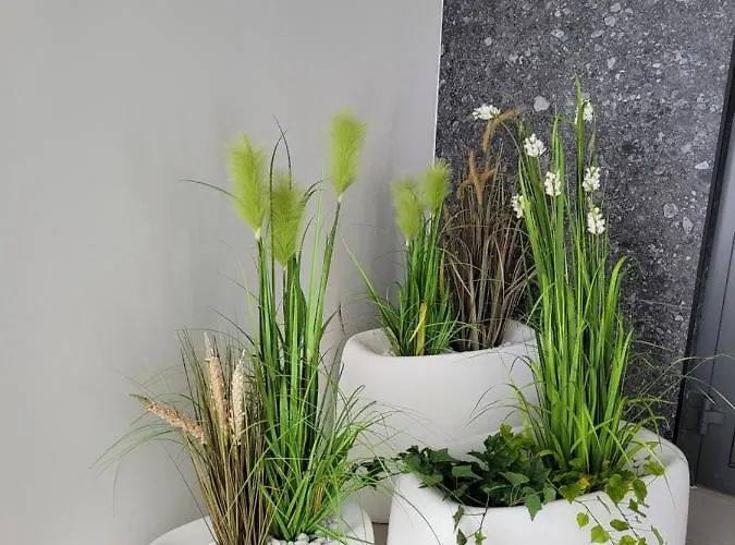 Polanki Aqua Apartamento